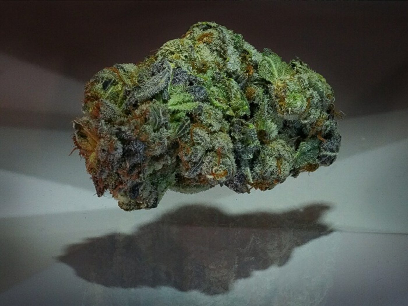 A finished, cured bud ready for packaging